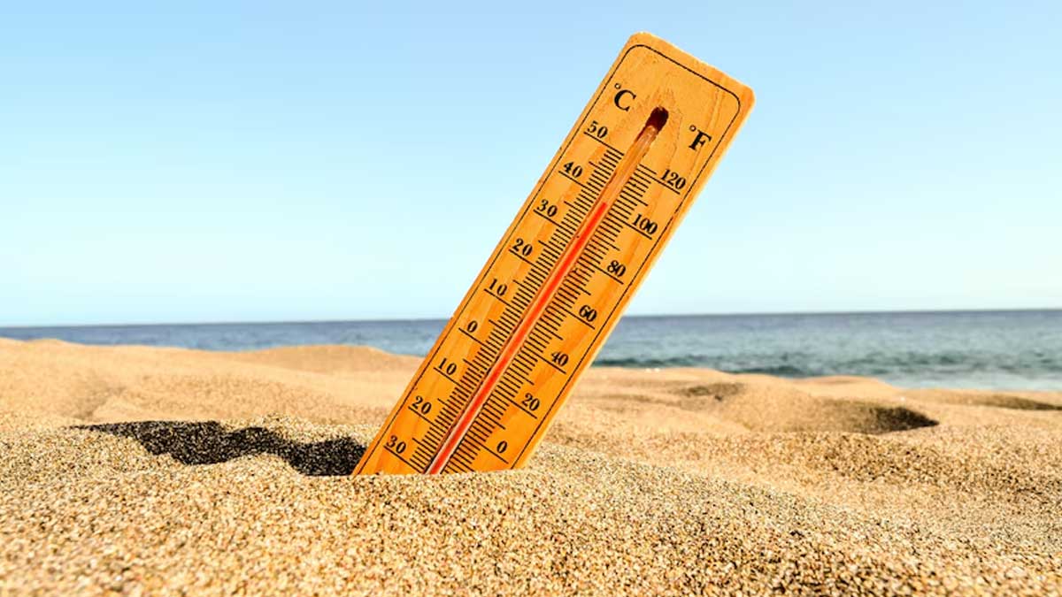 Summer Woes: These Foods Can Help You Prevent Heat Stroke